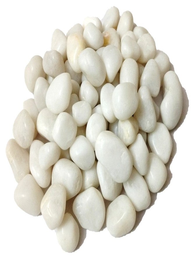 DS1 Glossy Quartz Marble Stone, Pebbles for Aquarium, Vases, Lawn, Table and Fountain (White, 475 gm) - Image 3